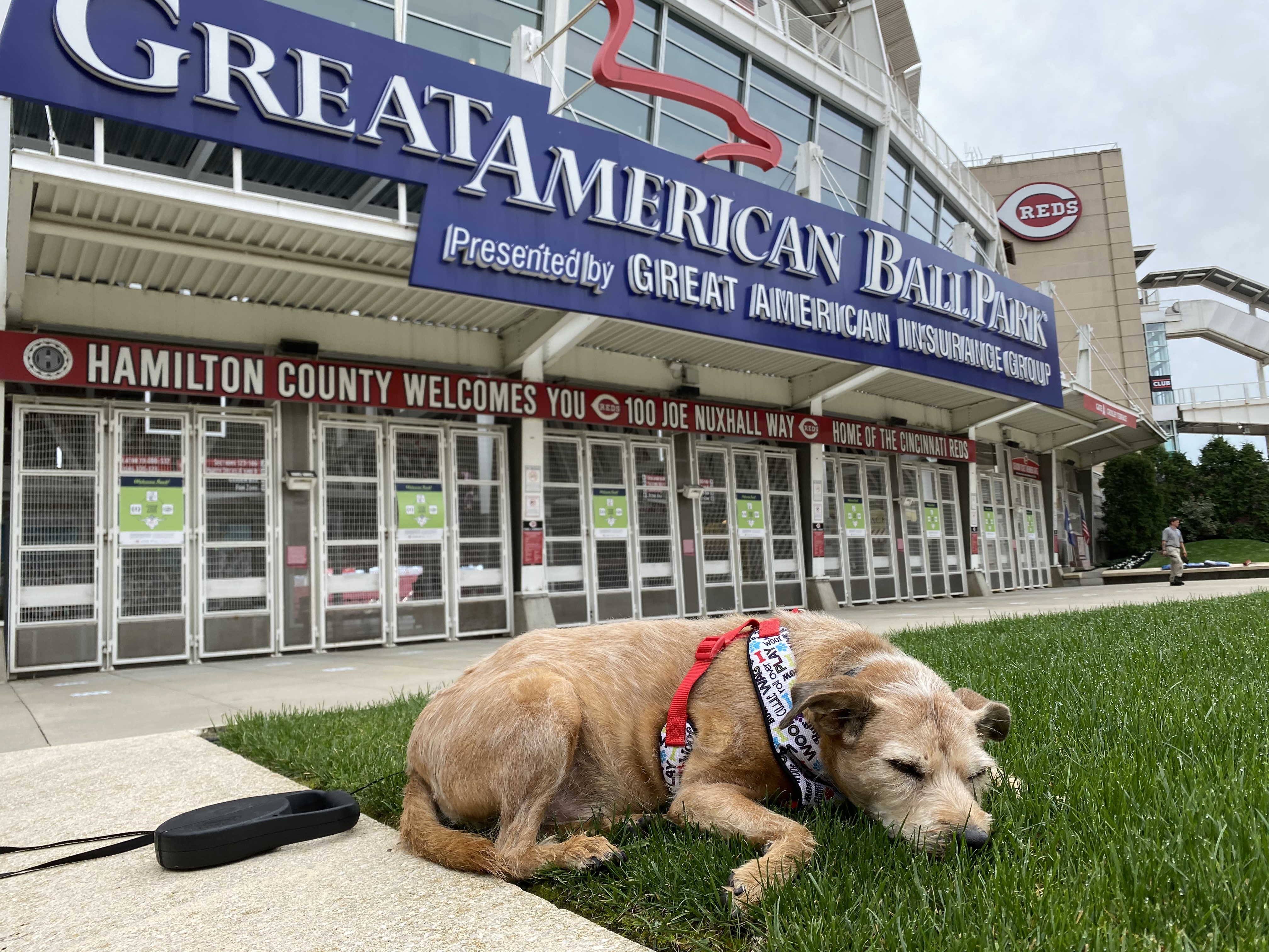 ACR Gunite Pools and Spas